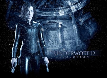 La suite dans l'antre de tout