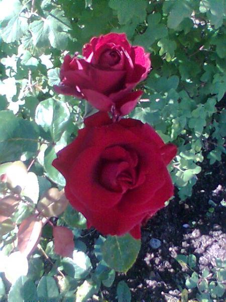 pour changer de registre